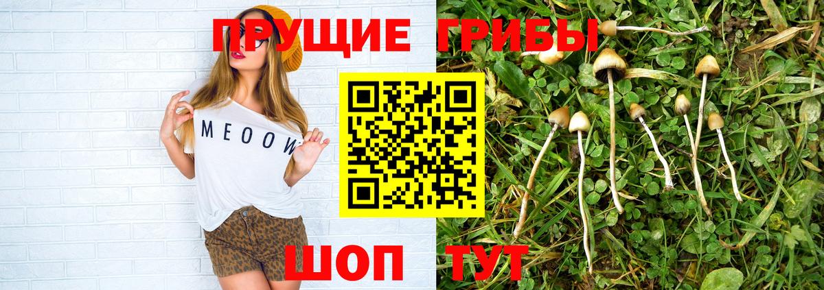 Галлюциногенные грибы GOLDEN TEACHER  Вход с VPN  Кузнецк 